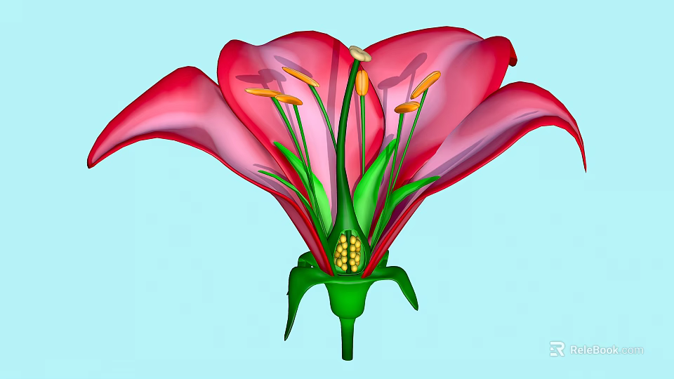 Beautiful Vibrant Red Flower With Green Stamens Yellow Anthers And Petals 3d model 