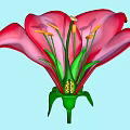 Beautiful Vibrant Red Flower With Green Stamens Yellow Anthers And Petals