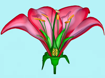 Beautiful Vibrant Red Flower With Green Stamens Yellow Anthers And Petals 3d model