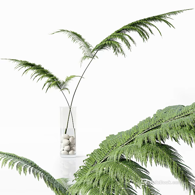 Clear Glass Vase With White Pebbles And Green Fern Fronds Home Decor 3d model 