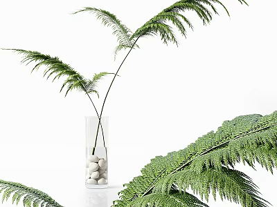 Clear Glass Vase With White Pebbles And Green Fern Fronds Home Decor 3d model