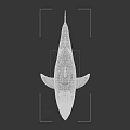 Realistic Aquatic Animal Shark Model Figure with Lifelike Features on White Background