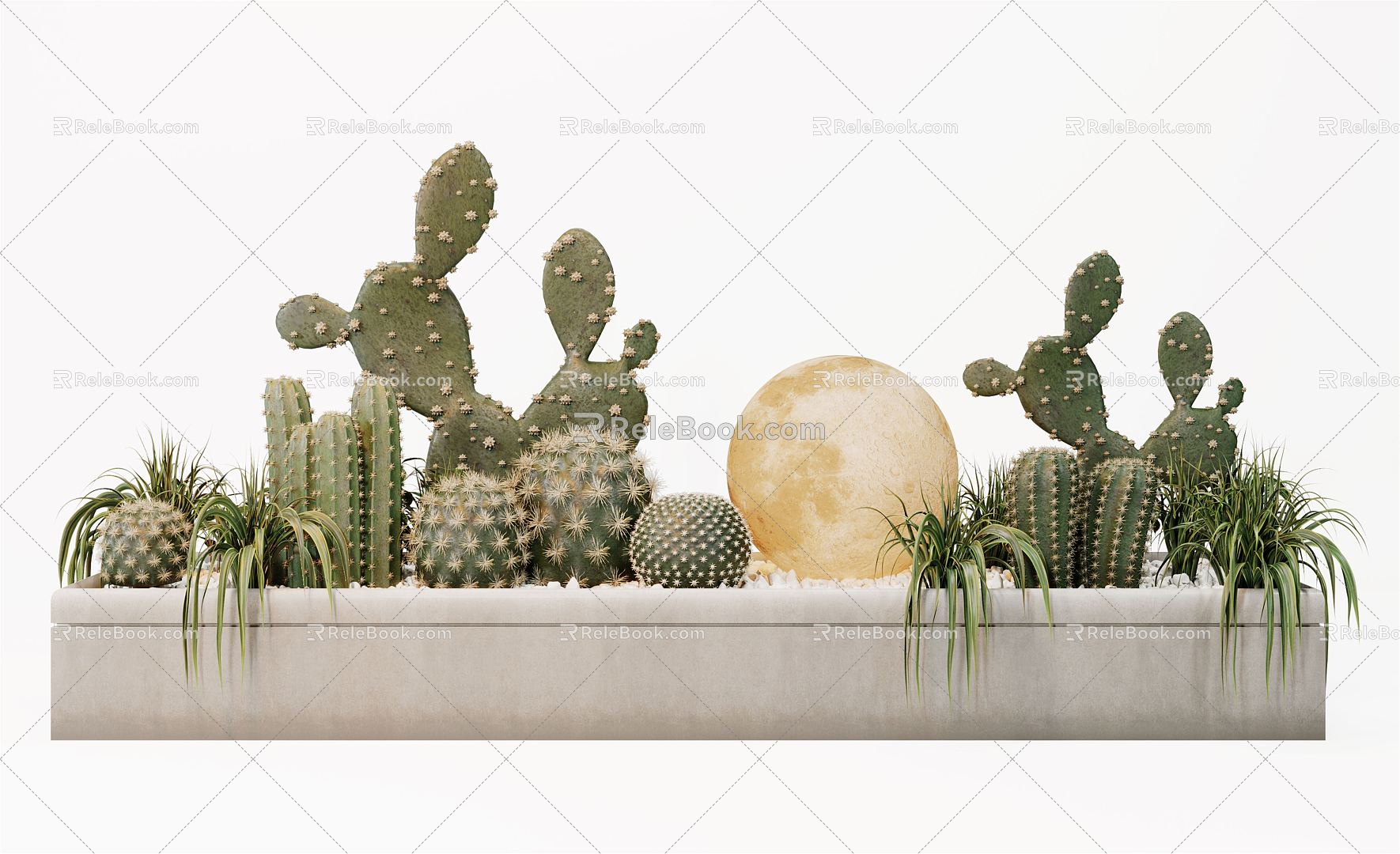 Modern Cactus Cactus Plant End View 3d model