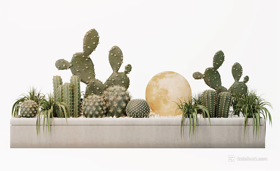 Various Shapes Cactus Bonsai Potted Plants With Moon Decoration On White Background Platform 3d model 