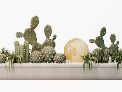 Various Shapes Cactus Bonsai Potted Plants With Moon Decoration On White Background Platform 3d model