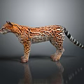 Realistic 3D Jaguar Model With Orange Black Spotted Fur Standing On Dark Reflective Surface