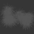 Lush Green Grass Clumps Against Dark Background With Height Measurement Scale