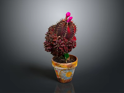 Vibrant Red Leaf Cactus Plant With Pink Flowers In Colorful Terracotta Pot 3d model