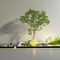 Stylish Miniature Garden Ornament With Small Trees Stones Green Plants And Lighting