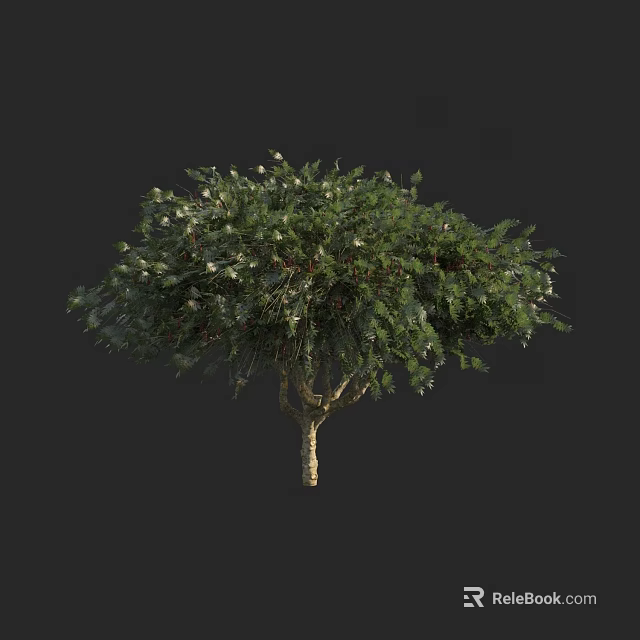 Lush Green Arbor with Dense Foliage and Strong Trunk Natural Growth 3d model 
