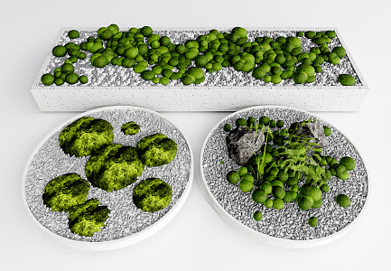 Modern plant potted landscape moss micro landscape 3d model