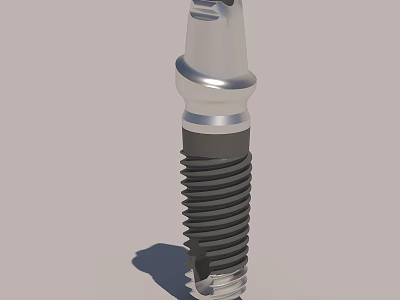 Dental Implant Screw Structure With Titanium Alloy Material And Thread Design 3d model