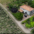 Scenic Rural Landscape With Vineyard Fields Farmhouse Green Trees And Country Path
