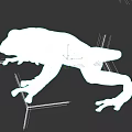 Green Tree Frog 3D Model With Lifelike Features On Dark Background