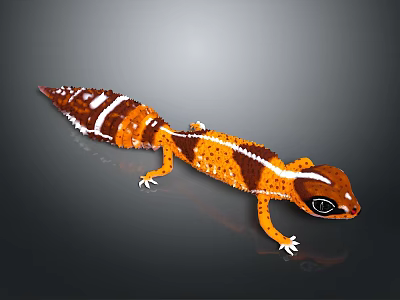 Detailed Reptile Gecko With Striped Orange Brown Body White Spots Black Eyes Against Gray Background 3d model