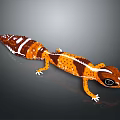 Detailed Reptile Gecko With Striped Orange Brown Body White Spots Black Eyes Against Gray Background