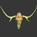 Decorative Bull Skull With Long Horns Red Yellow On Dark Background With Reflection