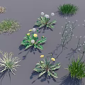 Diverse Collection Of Green Plants Featuring Dandelion Grass And Herbaceous Species