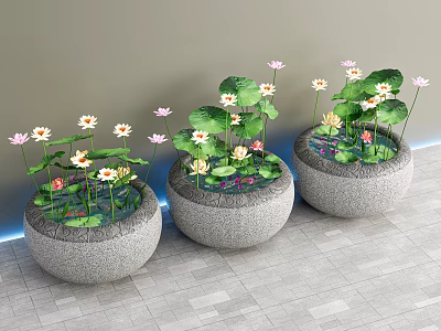New Chinese Style Water Tank Pool Lotus Water Tank Green Plant Basin 3d model