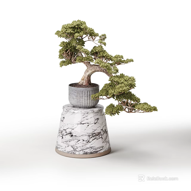 Bonsai Plant with Curved Trunk and Green Foliage on Gray Pot and Marble Base 3d model 