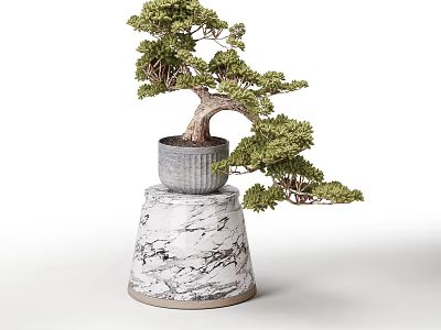 Bonsai Plant with Curved Trunk and Green Foliage on Gray Pot and Marble Base 3d model