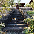 Garden Landscape Featuring Stone Steps Beagle Dog Traditional Red Pavilion And Green Foliage