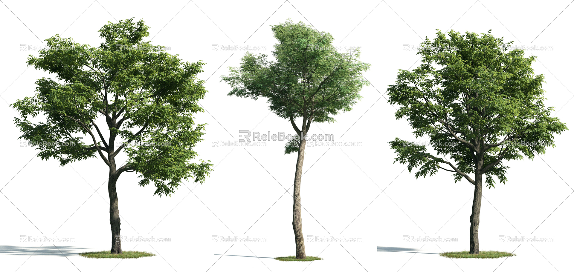 The Modern Tree 3d model