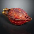 Fresh Red Cocoa Pod With Textured Surface On Dark Background Showcasing Natural Reflection 3d model