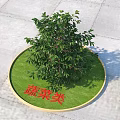 Green Vegetable Plant In Circular Area With Vegetable Category Sign 3d model