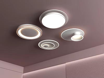 Modern Ceiling Lights With Various Circular Designs And Soft Illumination For Home 3d model