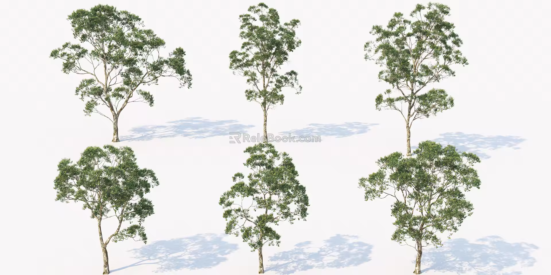 Modern Tree Park Tree 3d model