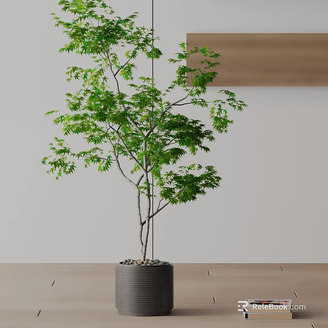 Bonsai Potted Plant With Lush Green Leaves And Slender Trunk In Gray Pot 3d model 