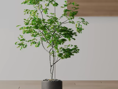 Bonsai Potted Plant With Lush Green Leaves And Slender Trunk In Gray Pot 3d model