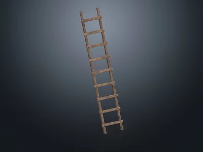 Essential Wooden Household Ladder With Sturdy Step Rungs For Home Use 3d model