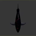 Realistic 3D Shark Marine Aquatic Animal Model With Dorsal Fin And Tail