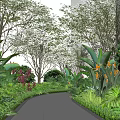 Lush Flowers and Plants Along Tropical Garden Path With Large Green Leaves Orange Blooms and Trees