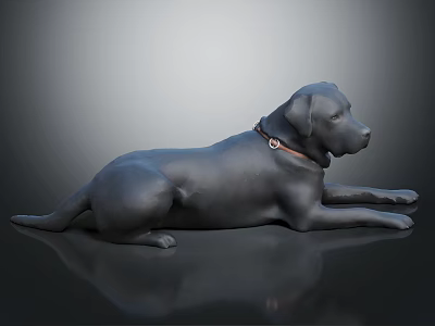 Black Labrador Lying Down With Brown Collar On Black Surface And Gray Background 3d model