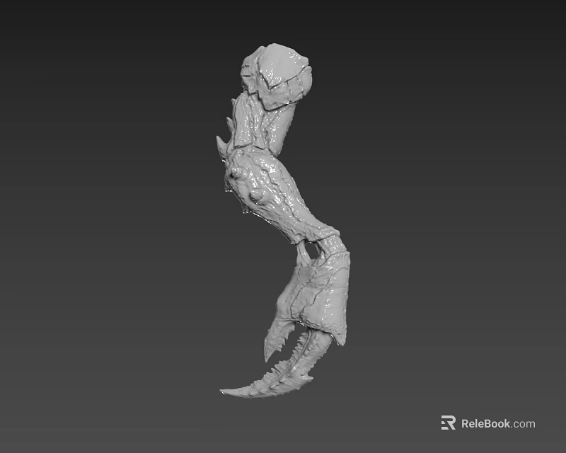 Fantasy Creature Character 3D Model Design Featuring Detailed Anatomical Structure 3d model 