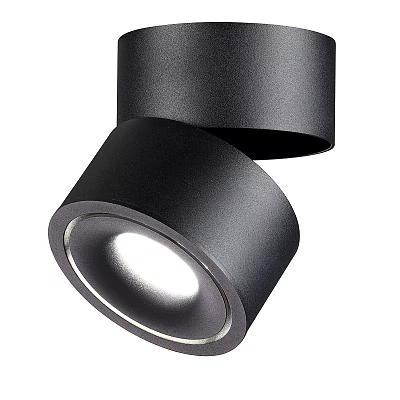 Modern Black Adjustable Angle Downlight Spotlight With Bright LED Home Interior Lighting 3d model