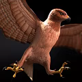 Brown Eagle Spreading Wings Soaring In Flight With Detailed Feathers And Powerful Stance