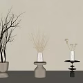 Potted Plants With Bare Branches Dried Grass And White Flowers On Light Tabletop