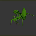 Detailed Green Mantis in Lifelike 3D Render With Dynamic Posture