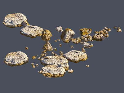 Natural Stones and Wooden Pieces in Various Sizes and Textures 3d model