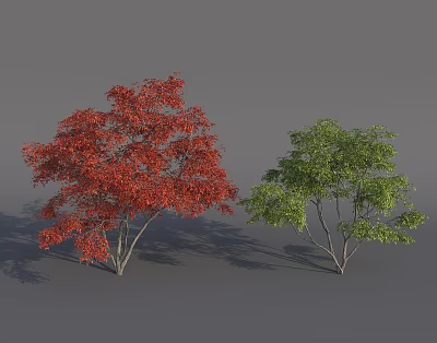 Two Arbor Trees with Red And Green Leaves Standing On Gray Background 3d model