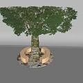 Tall Tree With Green Leaves On Circular Platform With Curved Seats And Colorful Floor