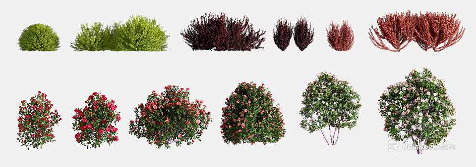 Beautiful Colorful Flowering Bushes And Shrubs With Green Red Pink Blooms 3d model 