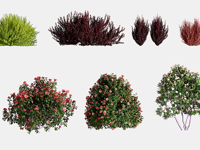 Beautiful Colorful Flowering Bushes And Shrubs With Green Red Pink Blooms 3d model