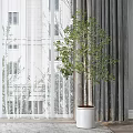 Gray Plaid Curtains With White Sheer And Indoor Plant By Window With Tall Buildings View