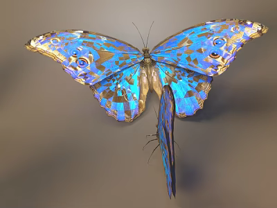 Vibrant Blue Butterfly With Complex Wing Patterns On Gray Background 3d model