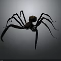 Artistic Long Legged Spider Sculpture With Decorative Intricate Details On Gray Background